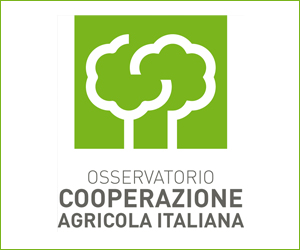 RAPPORTO OSSERVATORIO COOPERAZIONE AGRICOLA: EXPORT A 6,6 MLD NEL 2016 (+1,5%), CRESCE FATTURATO MEDIO AZIENDE, TENGONO OCCUPAZIONE E RETRIBUZIONI